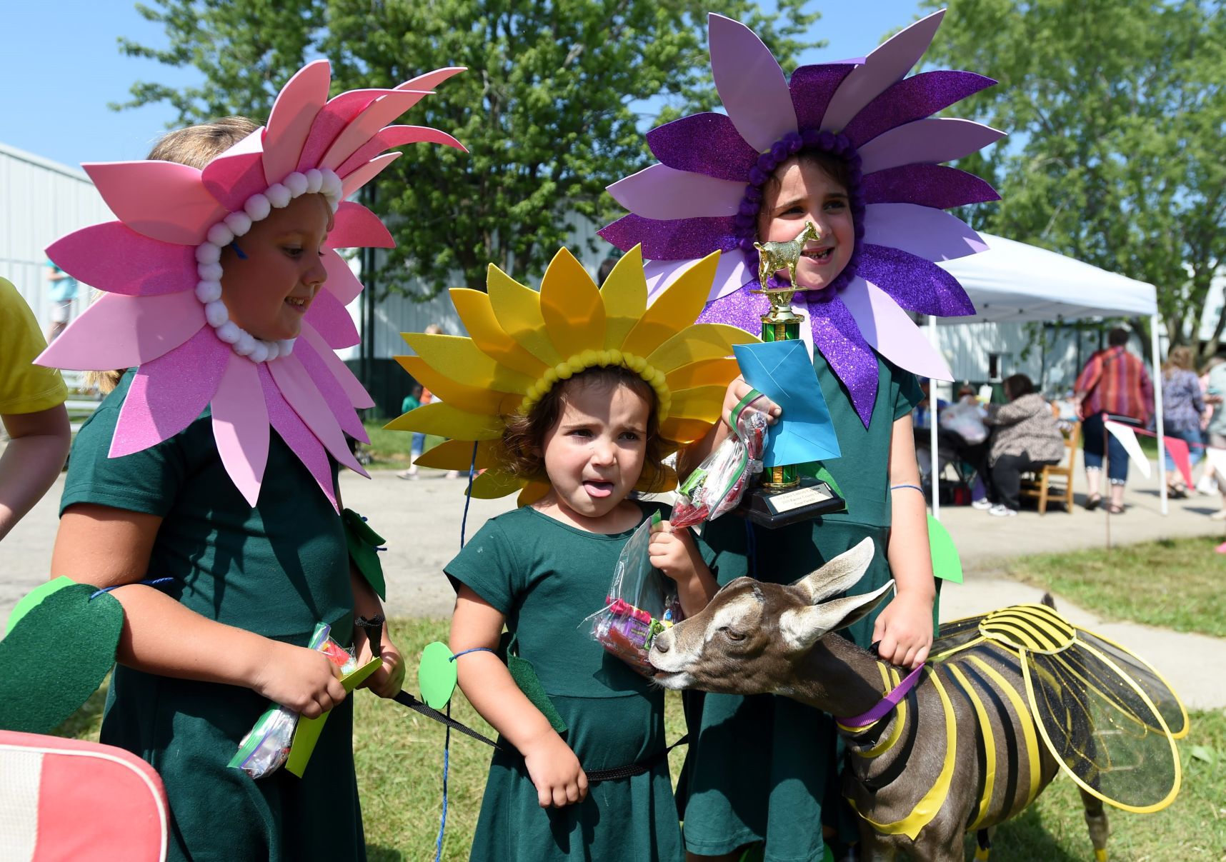 Goat parade winners